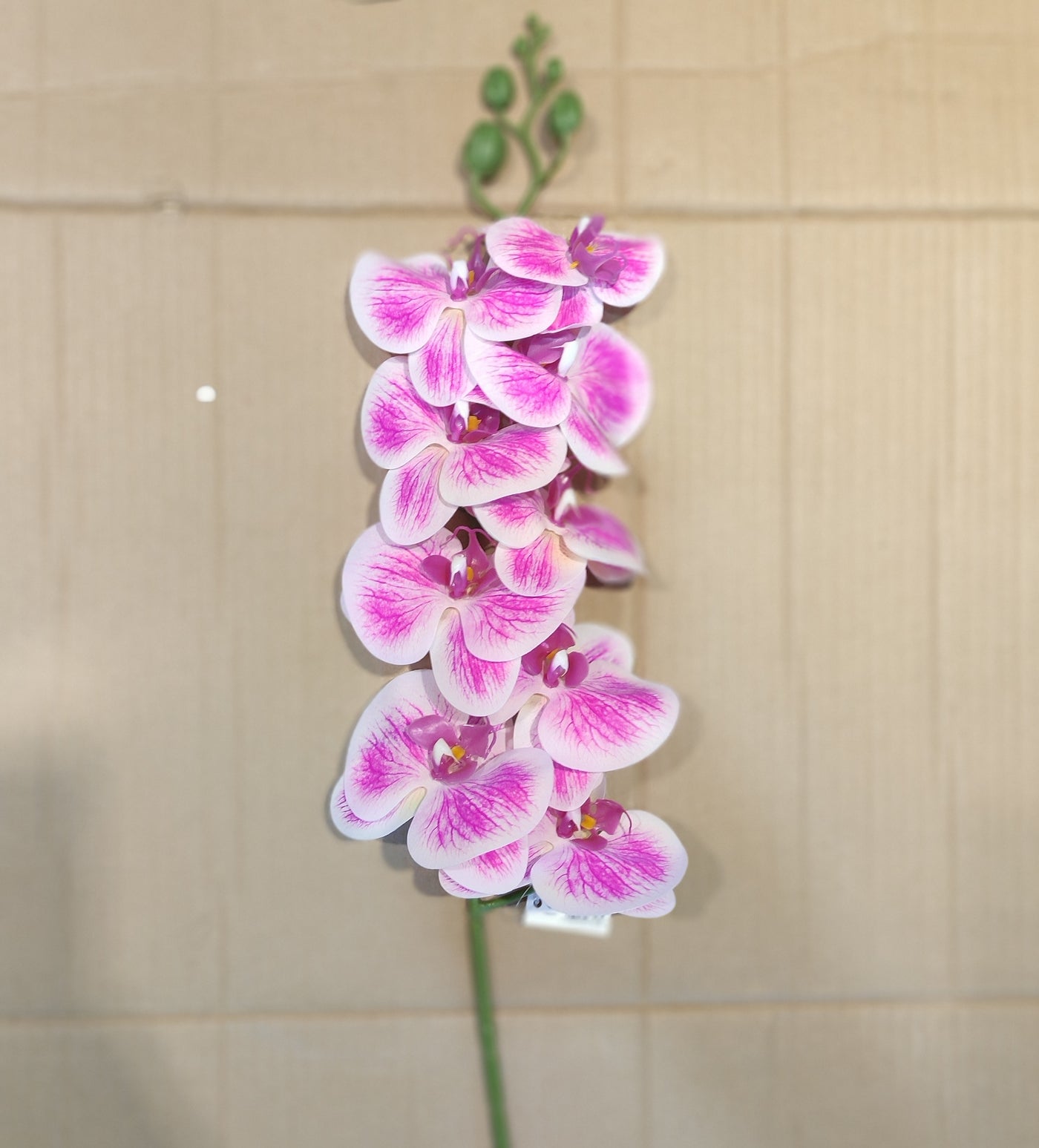 Premium Artificial Orchid Flower Stem – Large 38 Inch | Real Touch Phalaenopsis Spray for Home Décor